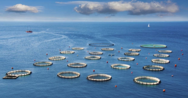 2025年中國深遠海養殖裝置行業(yè)政策、發(fā)展歷程、行業(yè)現狀及未來(lái)發(fā)展趨勢分析：海洋產(chǎn)業(yè)轉型升級驅動(dòng)，深遠海養殖裝置需求持續攀升